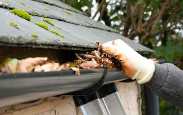 gutter cleaning Kings Stag, Dorset