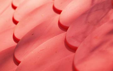 Kings Stag plastic roof costs