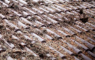 Kings Stag roof cleaning companies