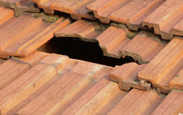 roof repair Kings Stag, Dorset