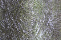 Kings Stag fibreglass roof work